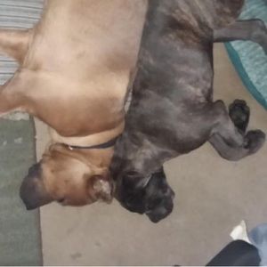 Meet your Posher, Bendric